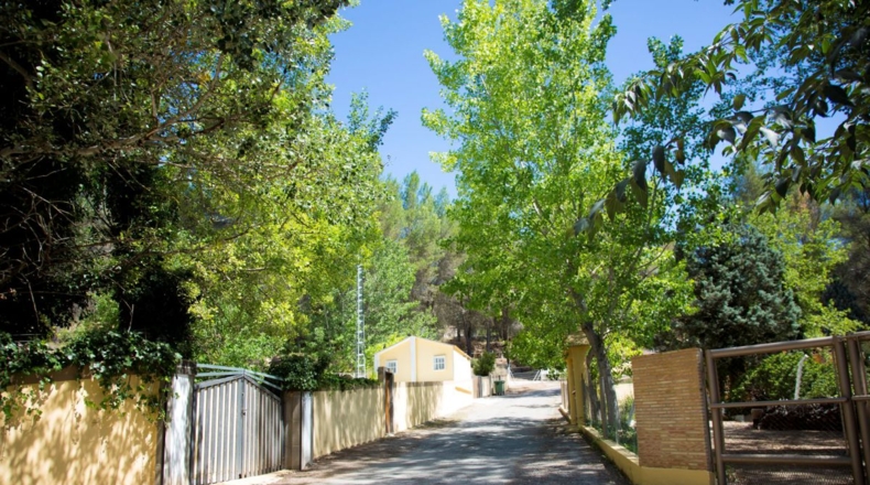 Castellón - Castellón de la Plana - 3000m2