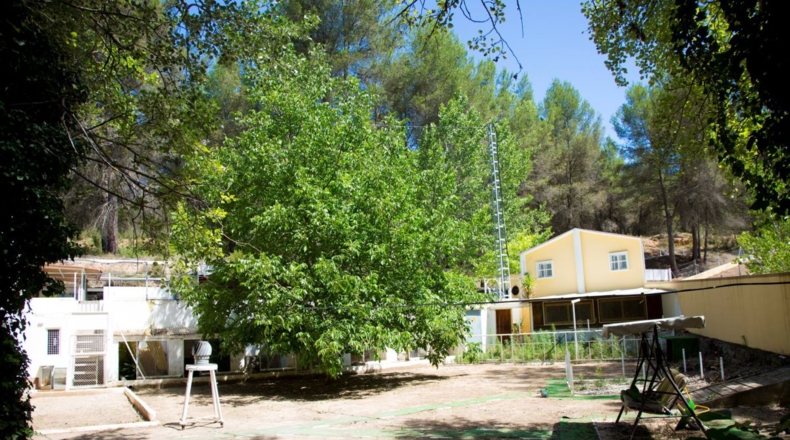 Castellón - Castellón de la Plana - 3000m2