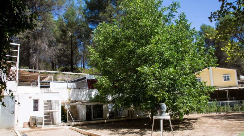 Castellón - Castellón de la Plana - 3000m2