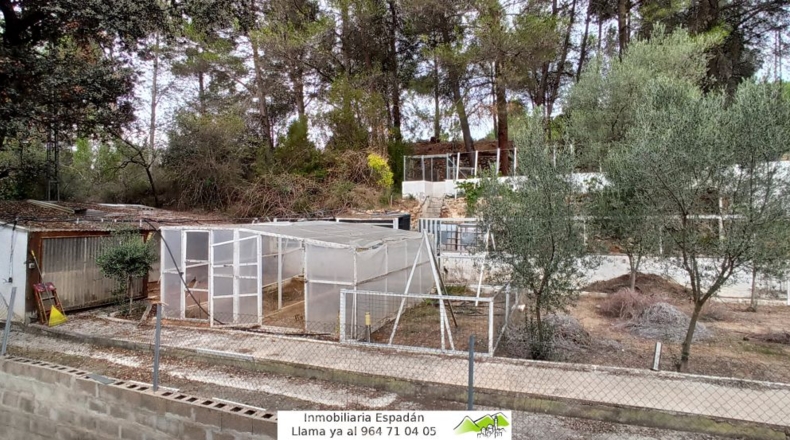 Castellón - Castellón de la Plana - 3000m2