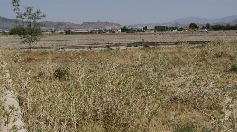 Murcia - Лорка - 7000m2