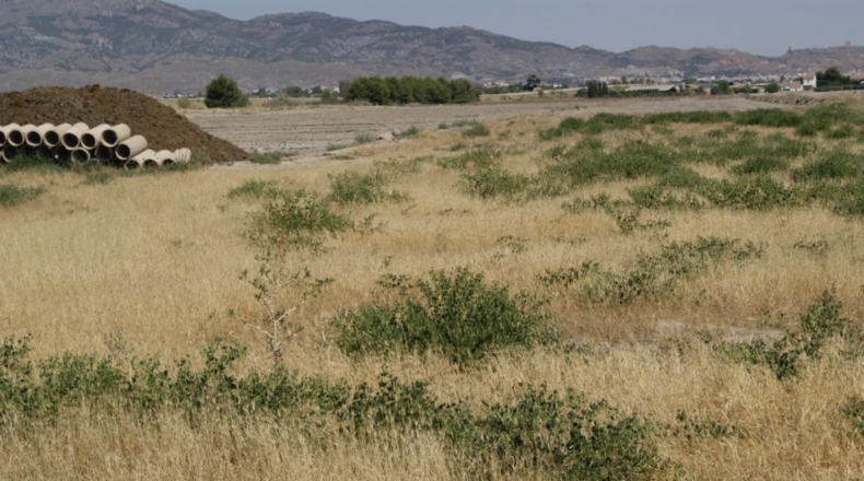 Murcia - Лорка - 7000m2