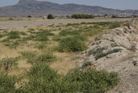 Lorca 7000&nbsp;m² 