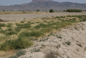 Lorca 7000&nbsp;m² 