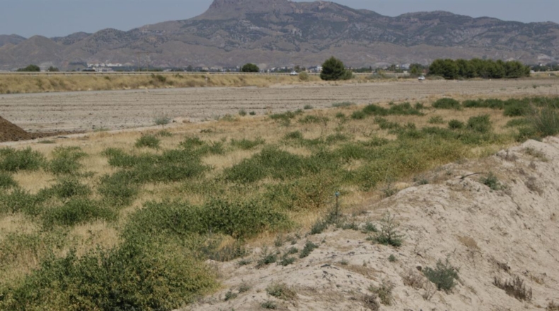 Murcia - Лорка - 7000m2