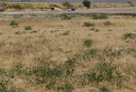 Lorca 7000&nbsp;m² 