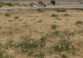 Terreno no urbanizable en venta en la España, Lorca, ref: TR386269 foto