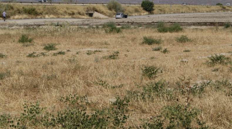 Murcia - Лорка - 7000m2
