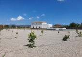 Xalet independent amb terreny en venda a la España, Múrcia, ref.: TR386161 foto