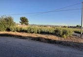 Non-developable land for sale in Los Baños de Mula ref: TR386379 photo