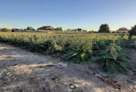 Los Baños de Mula 5000&nbsp;м²