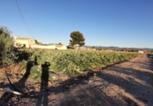 Non-developable land for sale in Los Baños de Mula ref: TR386379 photo