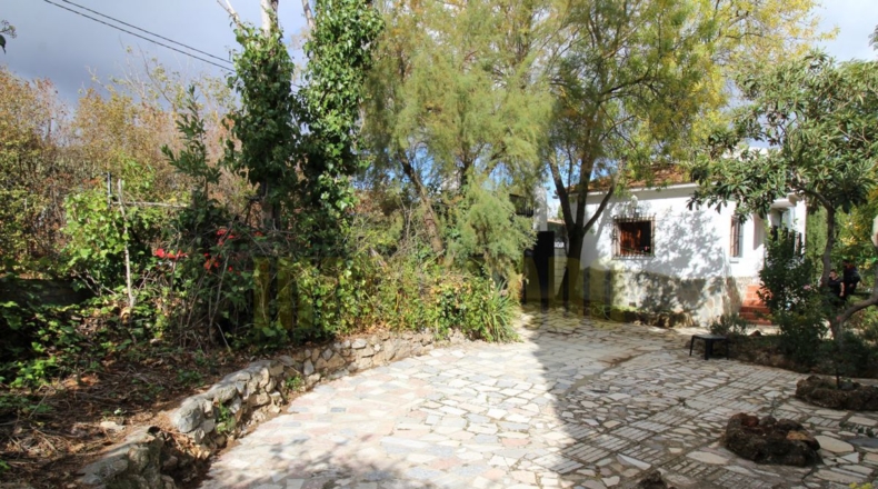 Málaga - Archidona - 1000m2