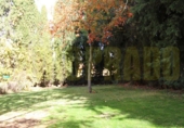 Masía con terreno en venta en Archidona ref: TR385804 foto