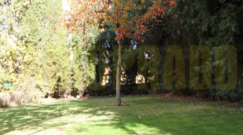Málaga - Archidona - 1000m2