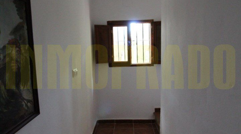 Málaga - Archidona - 1000m2