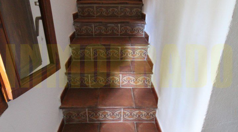 Málaga - Archidona - 1000m2