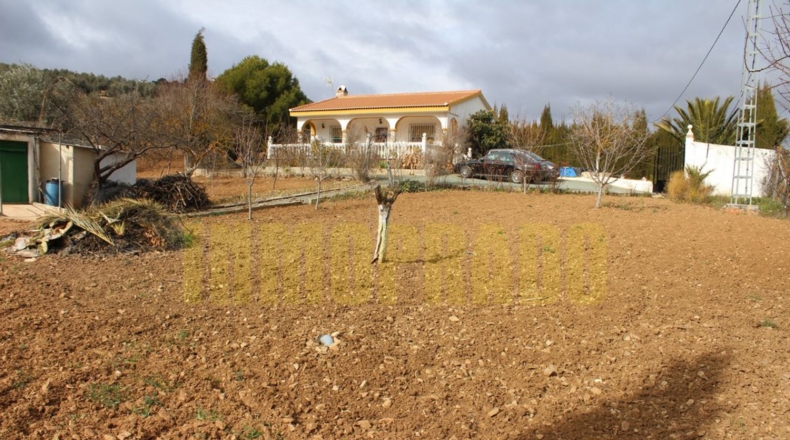 Málaga - Villanueva del Rosario - 2300m2