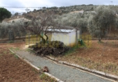 Chalet independiente con terreno en venta en Villanueva del Rosario ref: TR385988 foto