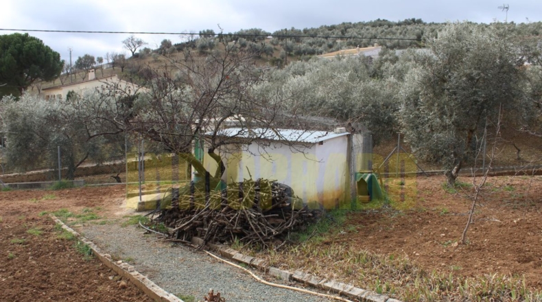 Málaga - Villanueva del Rosario - 2300m2