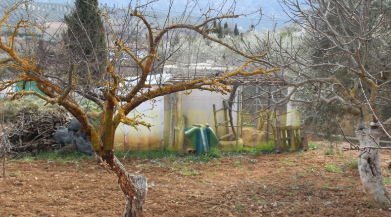 Málaga - Villanueva del Rosario - 2300m2