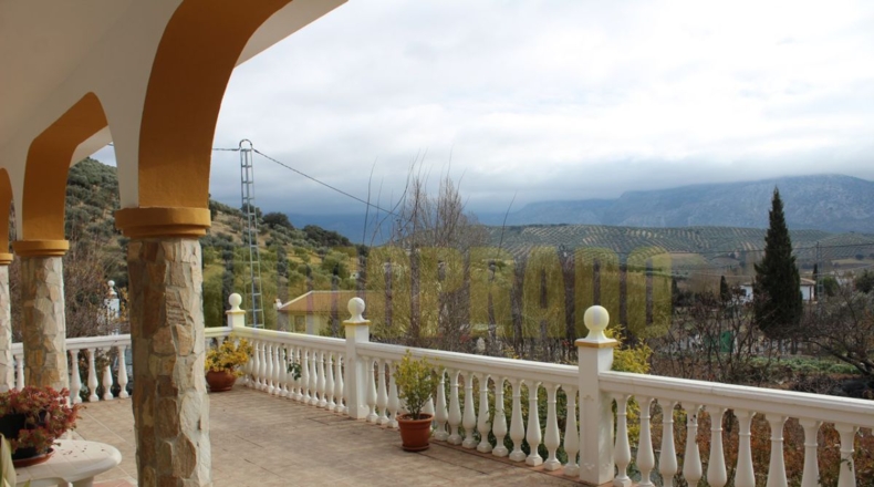 Málaga - Villanueva del Rosario - 2300m2