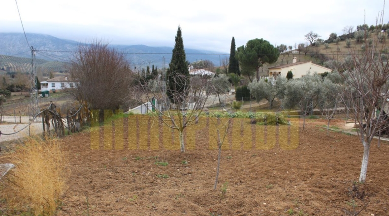 Málaga - Villanueva del Rosario - 2300m2