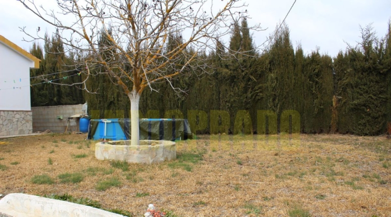 Málaga - Villanueva del Rosario - 2300m2