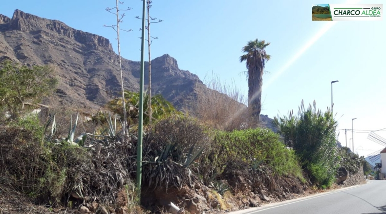 Las Palmas - Mogán - 1600m2