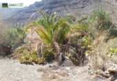 Finca rústica en venta en Mogán ref: TR386880 foto