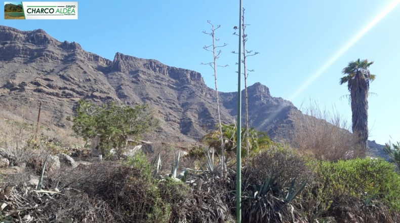 Las Palmas - Mogán - 1600m2