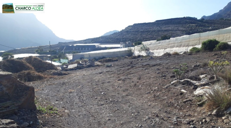 Las Palmas - La Aldea de San Nicolás - 2486m2