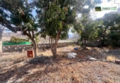 Terreno no urbanizable en venta en La Aldea de San Nicolás ref: TR385476 foto