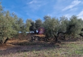 Rural estate for sale in Reus ref: TR393904 photo