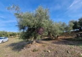 Rural estate for sale in Reus ref: TR393904 photo