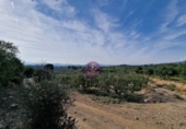 Rural estate for sale in Reus ref: TR393904 photo