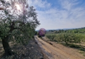 Rural estate for sale in Reus ref: TR393904 photo
