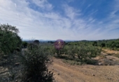 Rural estate for sale in Reus ref: TR393904 photo