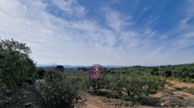 Tarragona - Reus - 27000m2