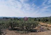 Rural estate for sale in Reus ref: TR393904 photo