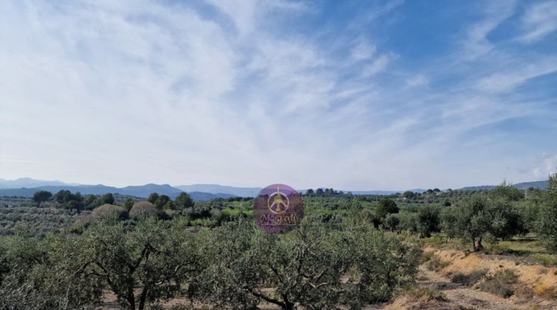 Tarragona - Reus - 27000m2