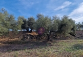 Rural estate for sale in Reus ref: TR393904 photo