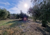 Rural estate for sale in Reus ref: TR393904 photo