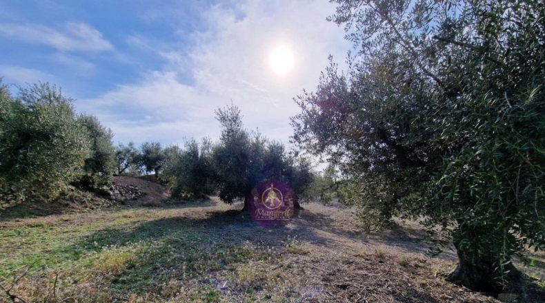 Tarragona - Reus - 27000m2