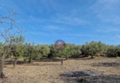 Rural estate for sale in Reus ref: TR393904 photo