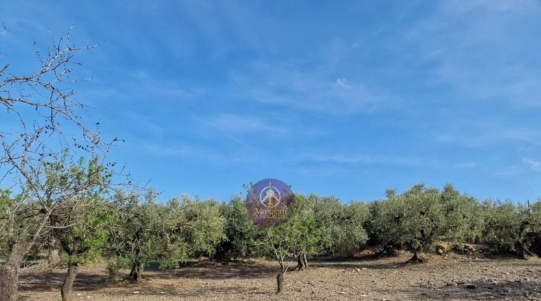 Tarragona - Reus - 27000m2