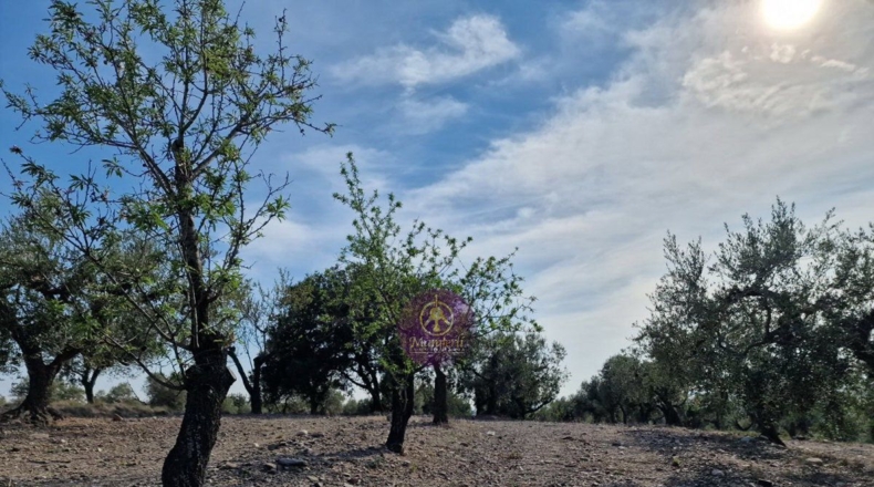 Tarragona - Reus - 27000m2