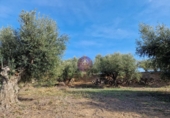 Rural estate for sale in Reus ref: TR393904 photo