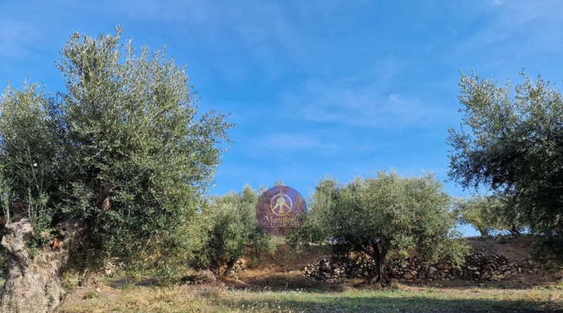 Tarragona - Reus - 27000m2