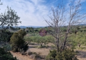 Rural estate for sale in Reus ref: TR393904 photo